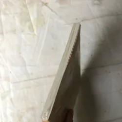 Đại Bàng Có Khi Bay Thấp Hơn Gà - Trương Thiết Thành 757226