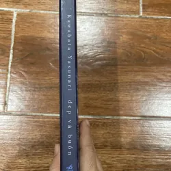 Đẹp và Buồn - Kawabata Yasunari (c) 719431