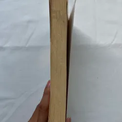 Anil's Ghost - Michael Ondaatje 789401