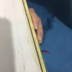 Tuyển tập Shakespeare 788212