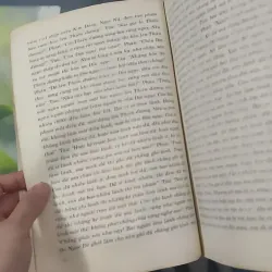 Hồi Dương Nhơn Quả 1018902