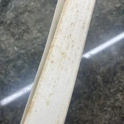 What i learned from the dog Jack Canfield 727874