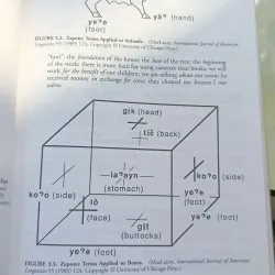 LANGUAGE CULTURE AND COMMUNICATION (NGÔN NGỮ, VĂN HOÁ VÀ GIAO TIẾP) - NANCY BONVILLAIN 784984
