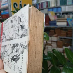 CƠ HỘI CỦA CHÚA - NGUYỄN VIỆT HÀ 1038269