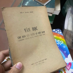 Các dân tộc thiểu số Việt Nam