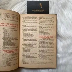 Văn hoá Việt Nam tổng hợp 1989 – 1995 (Memento) 790330