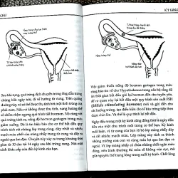 TẤT CẢ NHỮNG GÌ THIẾU NỮ MUỐN BIẾT - TRUDE AUSFELDER 1029798