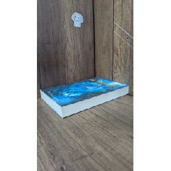 Kẻ trộm mộ - Phù Sinh (Nguyễn Đức Vịnh dịch) 1011293