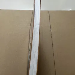 Nhạc Phi Truyện 695939