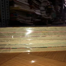 Lâu lan y mộng - Lao Zhuang Mu Han & Dingbing 799386