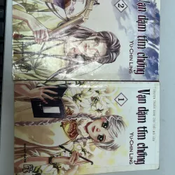 Vạn dặm tìm chồng