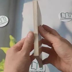 Hồ Chí Minh Về Suốt Đời Phấn Đấu Cần, Kiệm, Liêm, Chính, Chí Công Vô Tư 928486