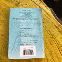 GOODBYE STRANGER- REBECCA STEAD 711944