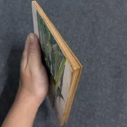 Ngôi nhà trong cỏ - Lý Lan 799600