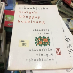 Ở Sài Gòn bỗng gặp hoa bí vàng - Trần Nhật Thu