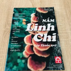 NẤM LINH CHI CÂY THUỐC QUÝ
