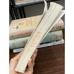 Lịch sử văn học Việt Nam – Tập III – Nguyễn Đăng Mạnh (chủ biên) 592587