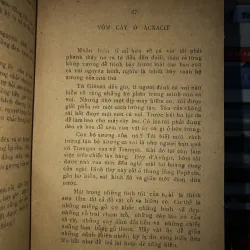 Cá voi trắng - Hơmơn Menvin 795448