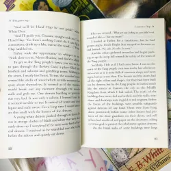 Newbery -Tiểu thuyết thiếu nhi kinh điển – Đạt giải Newbery danh giá - Trọn bộ 9 quyển 746140