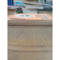 Tây Thi Nữ Hoàng Ngô Quốc - Nam Cung Bác 136399