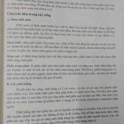THẦN KINH HỌC  525516
