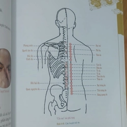 DƯỠNG SINH THÔNG KINH LẠC  517246
