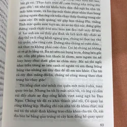 Đất rừng Phương Nam 🌊 695275