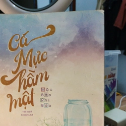 Tiểu thuyết cá mực hầm mật 