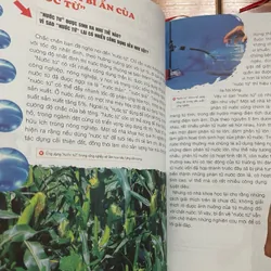 Bộ 3 cuốn Khám phá bí ẩn về Động vật, Khoa học, Trái đất 1059074