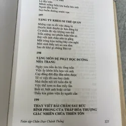 TOÀN TẬP CHÂN ĐẠO CHÁNH TỐNG ( BÌA CỨNG ) - LÊ MẠNH THÁT 1030393