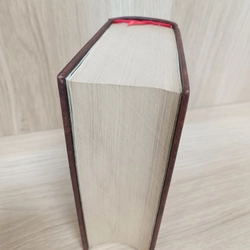 Gã khờ (Dostoievski) 496242