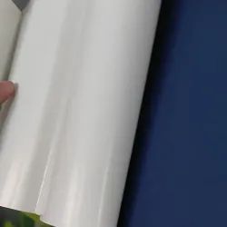 Đong Tấm Lòng - Nguyễn Ngọc Tư 798343