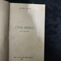 Tình Mộng (tiểu thuyết của Hồ Biểu Chánh) 991803