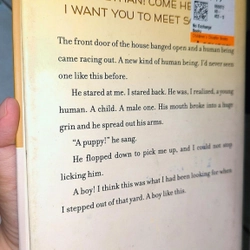 Sách chapters về cún - Bailey's story ( A dog's purpose novel) 470544