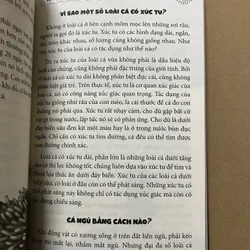 10 vạn câu hỏi vì sao trẻ hay hỏi nhất 675539