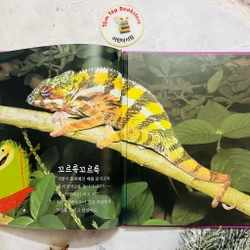 𝐒𝐞́𝐭 𝐬𝐚́𝐜𝐡 𝐪𝐮𝐚𝐧 𝐬𝐚́𝐭 𝐭𝐮̛̣ 𝐧𝐡𝐢𝐞̂𝐧 tiếng Hàn  푸른달 자연관찰(trọn bộ) 496923