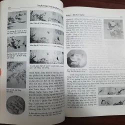 Hội họa trung hoa 782238