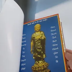 Phật thuyết Đại thừa Vô lượng Thọ Trang Nghiêm Thanh Tịnh Bình Đẳng Giác Kinh - Ngài Hạ L 607734