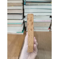 The villa - Sarah Sands 737959