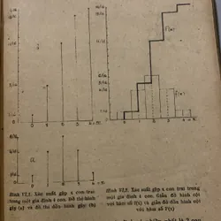 Thống kê trong nghiên cứu Y học, tập 1-2, Ngô Như Hoà 709179