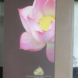 Làm Thế Nào Để Dạy Con Nên Người 698034