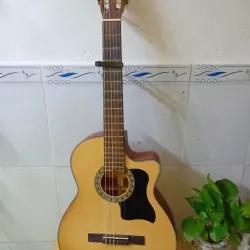 Đàm guitar classic