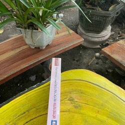 Để trẻ tự tin bước vào HAVARD 476008