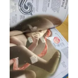 Children's human body encyclopedia 589515