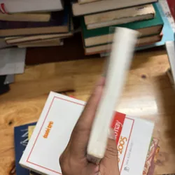 II Tựa sách: Hồi Kí Tâm “Si Đa” _ Vượt Lên Cái Chết - Trương Thị Hồng Tâm - 2012 700950