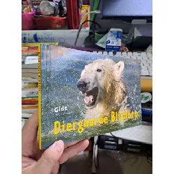 Diergaarde Blijdorp ENGLISH BOOKS HCM1008