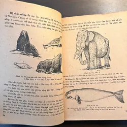 📖 Đời sống các loài thú (xb 1972) 565178
