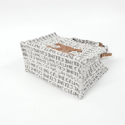 Celine Small Cabas Taï 199162FEF Túi - Hàng hiệu Chính hãng 805308