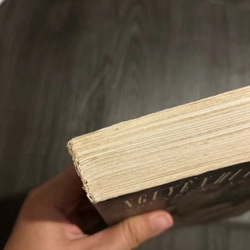 Như những ngọn gió 446549