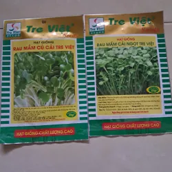 Hạt giống rau  1027558